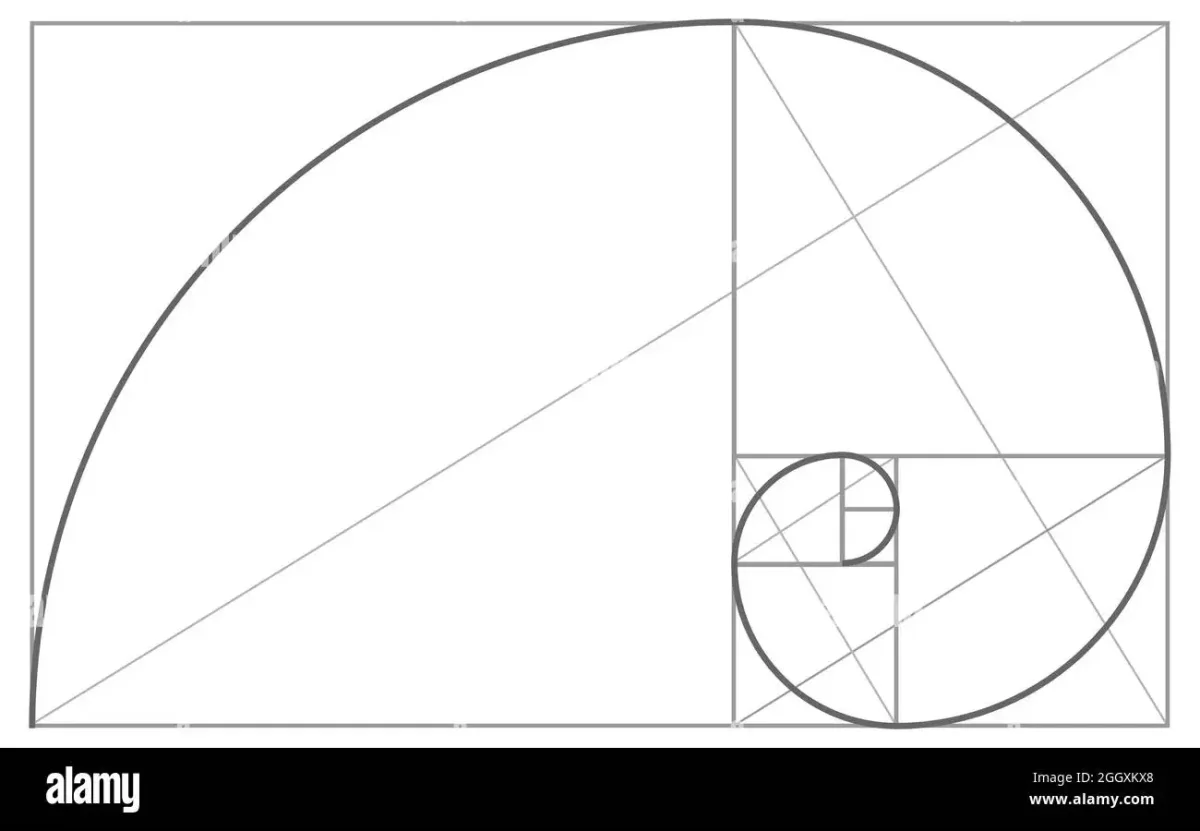 Спираль золотое сечение чертеж