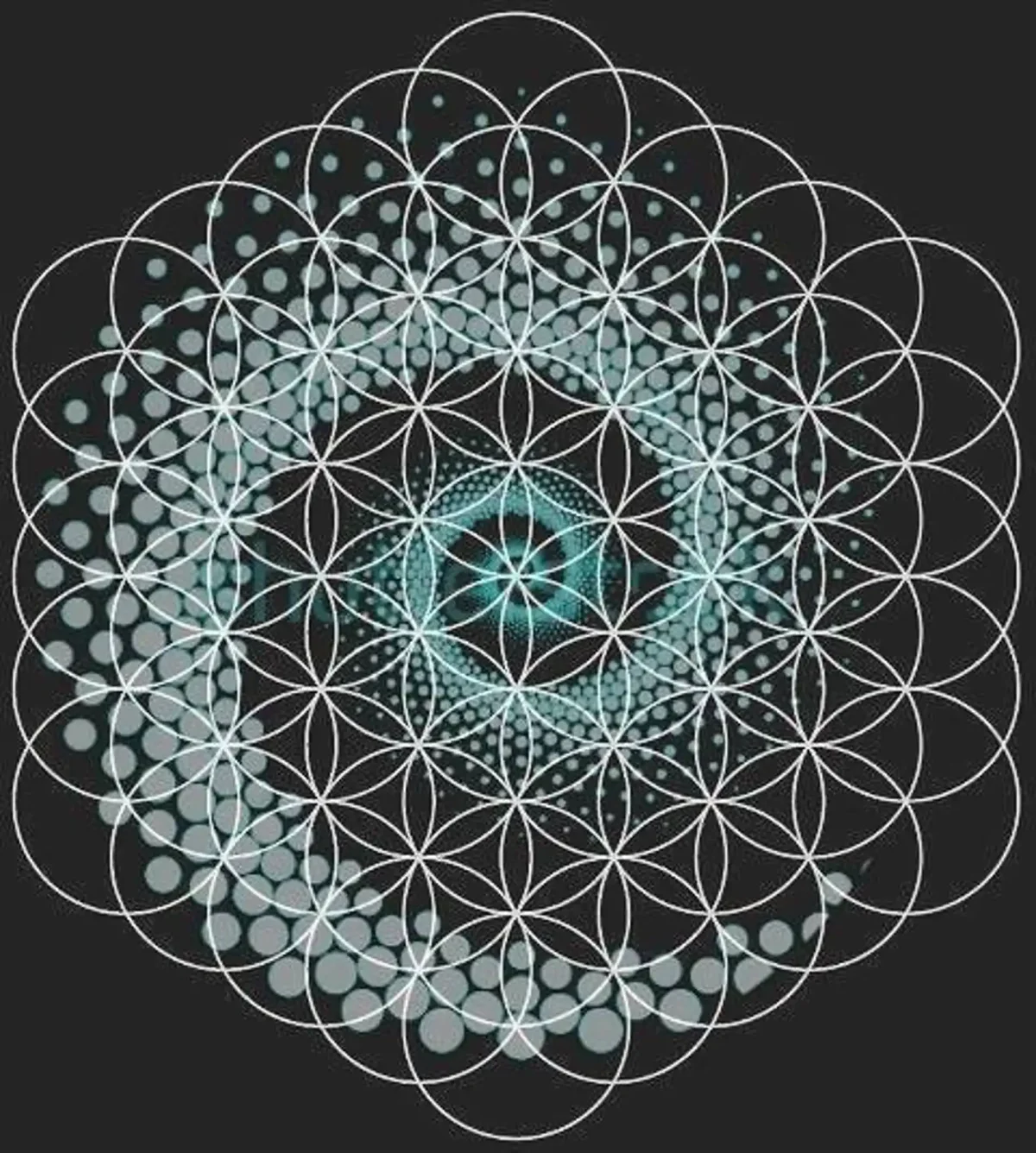 Торус Фибоначчи Сакральная геометрия