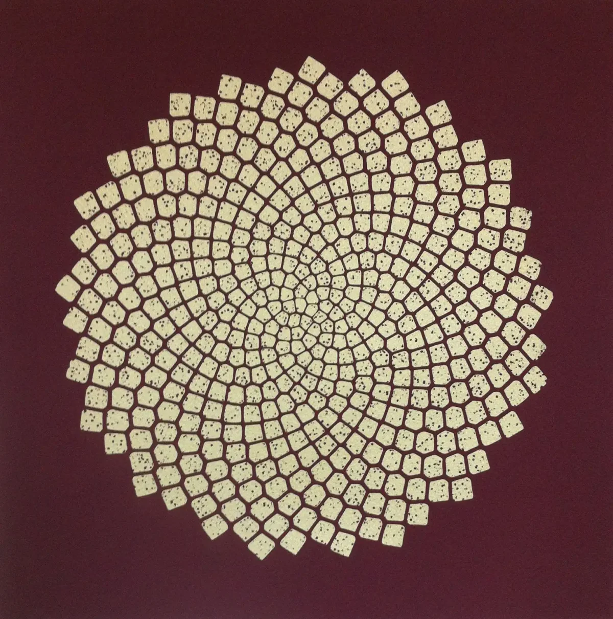 Мозаика Фибоначчи