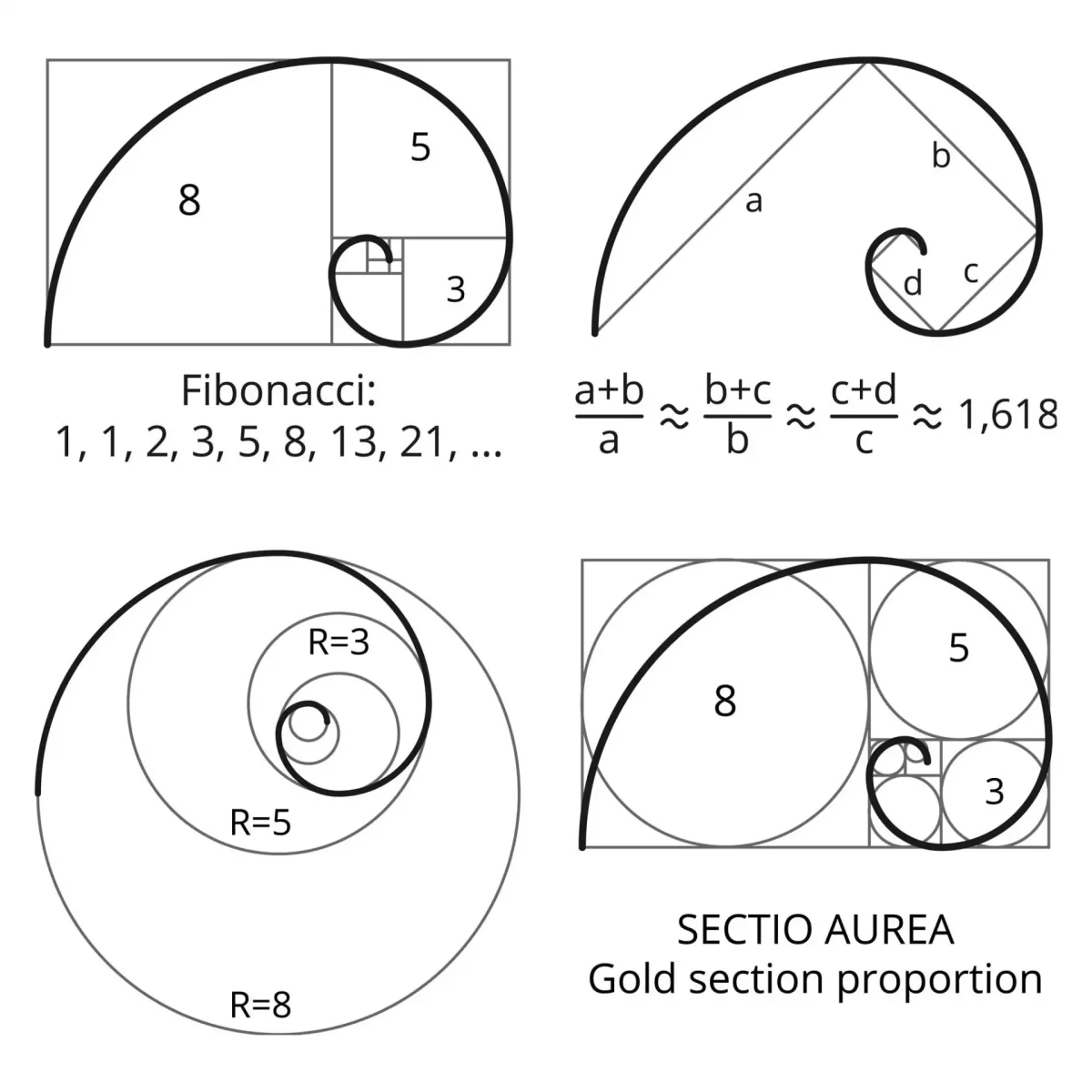 Спираль золотого сечения и спираль Фибоначчи