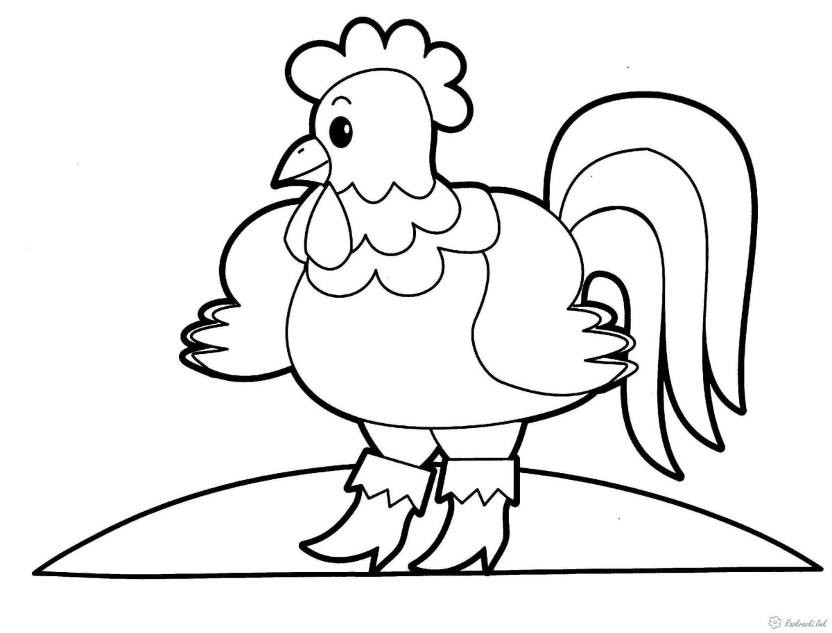 Петух раскраска для детей