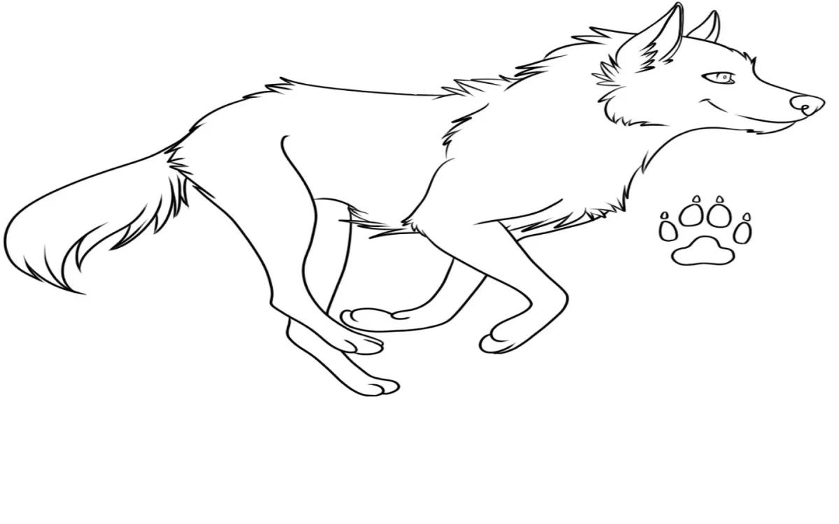 Иван Царевич и серый волк раскраска