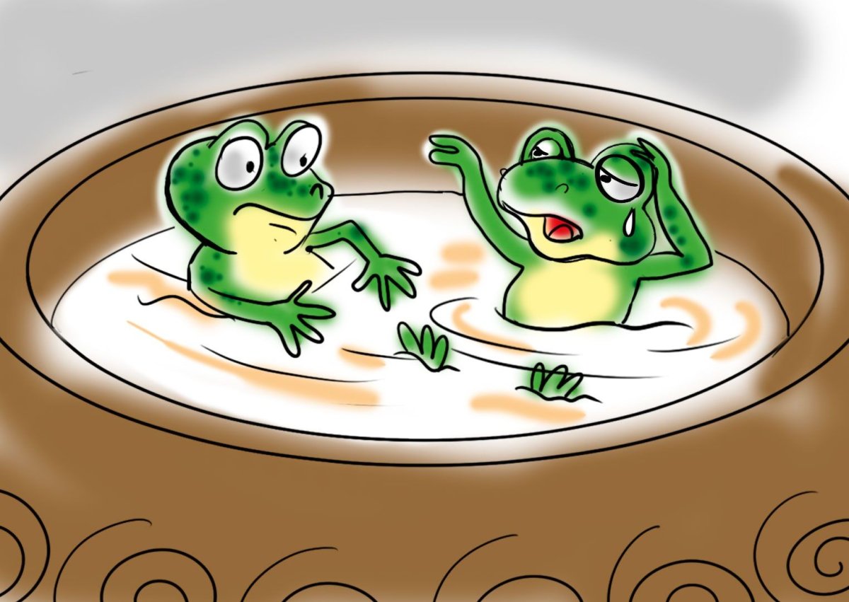 Лягушка в молоке