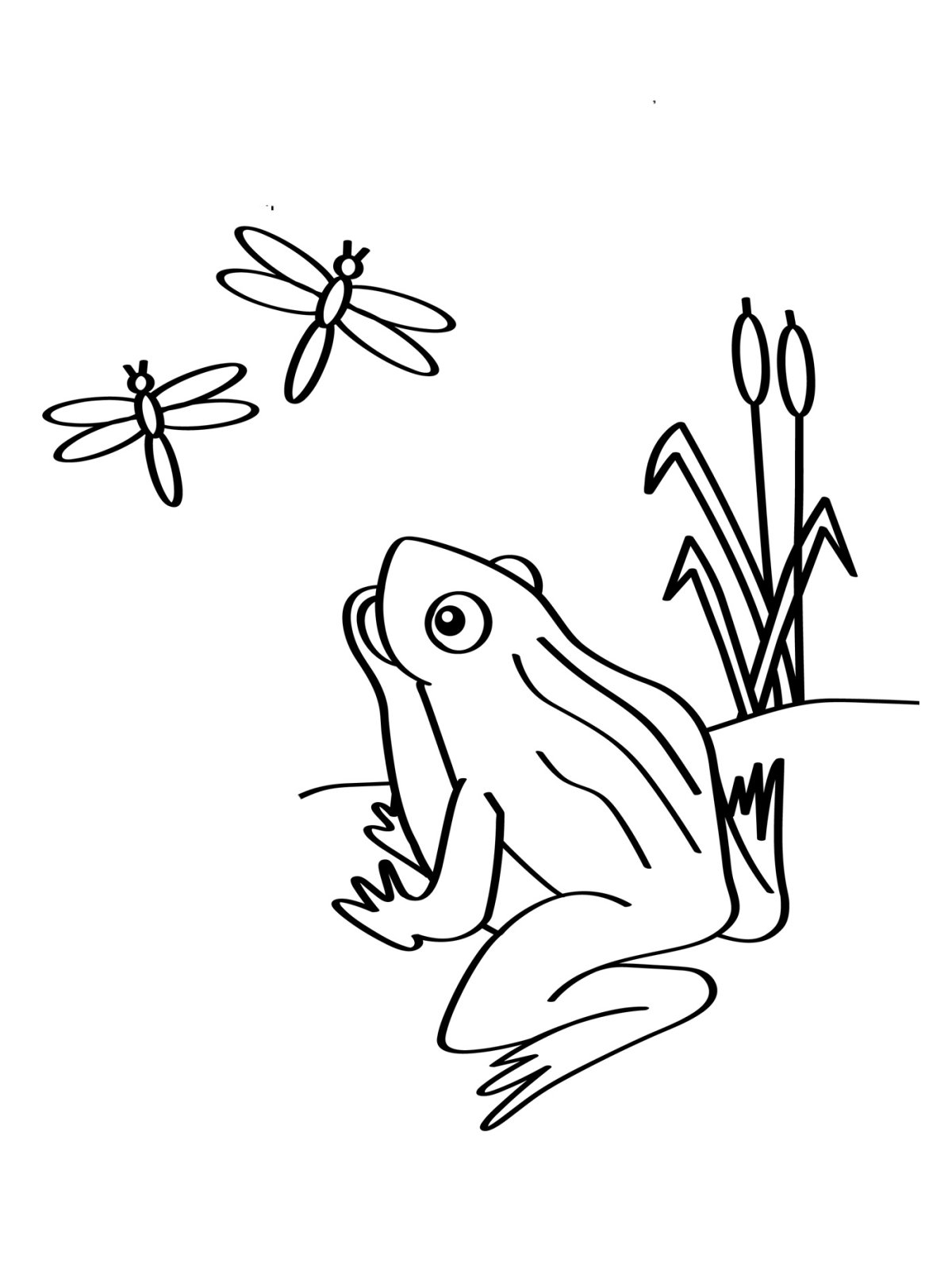 Нарисовать лягушку