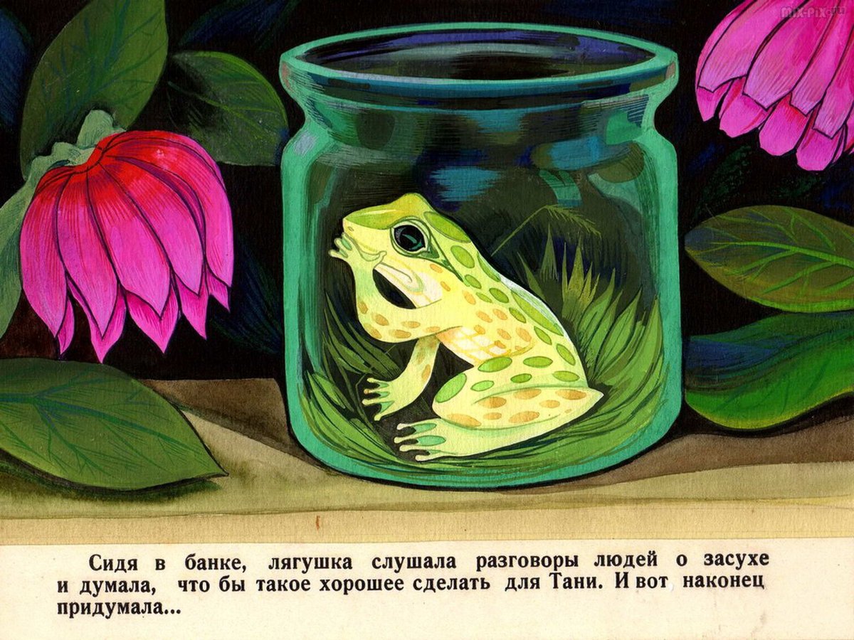 Квакша Паустовский