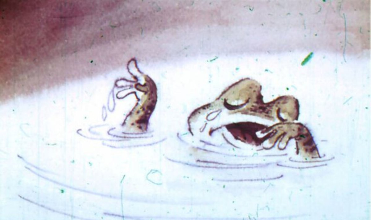 Жаба в луже раскраска для детей