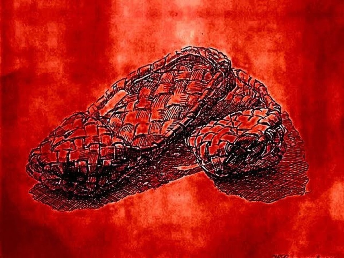 Красные лапти Бунин