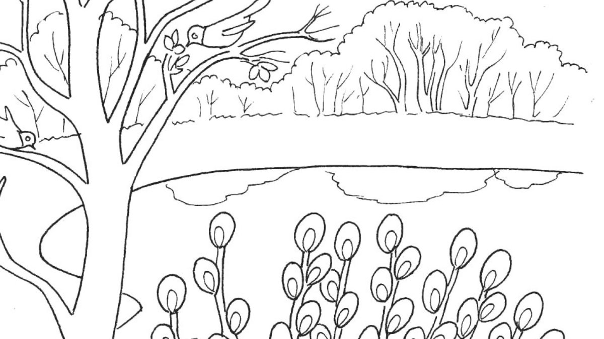 Лес и речка раскраска