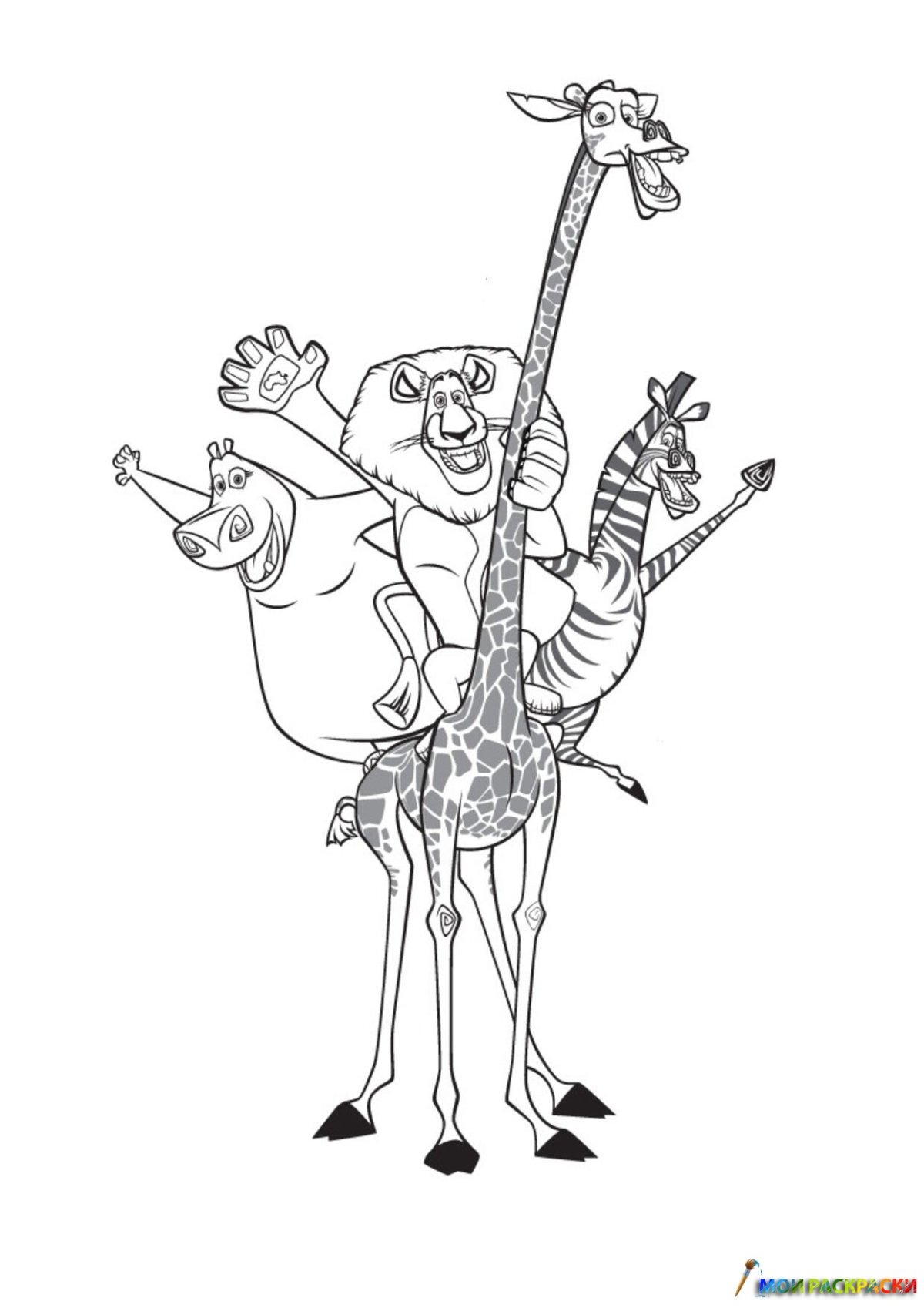 Зебра Марти раскраска