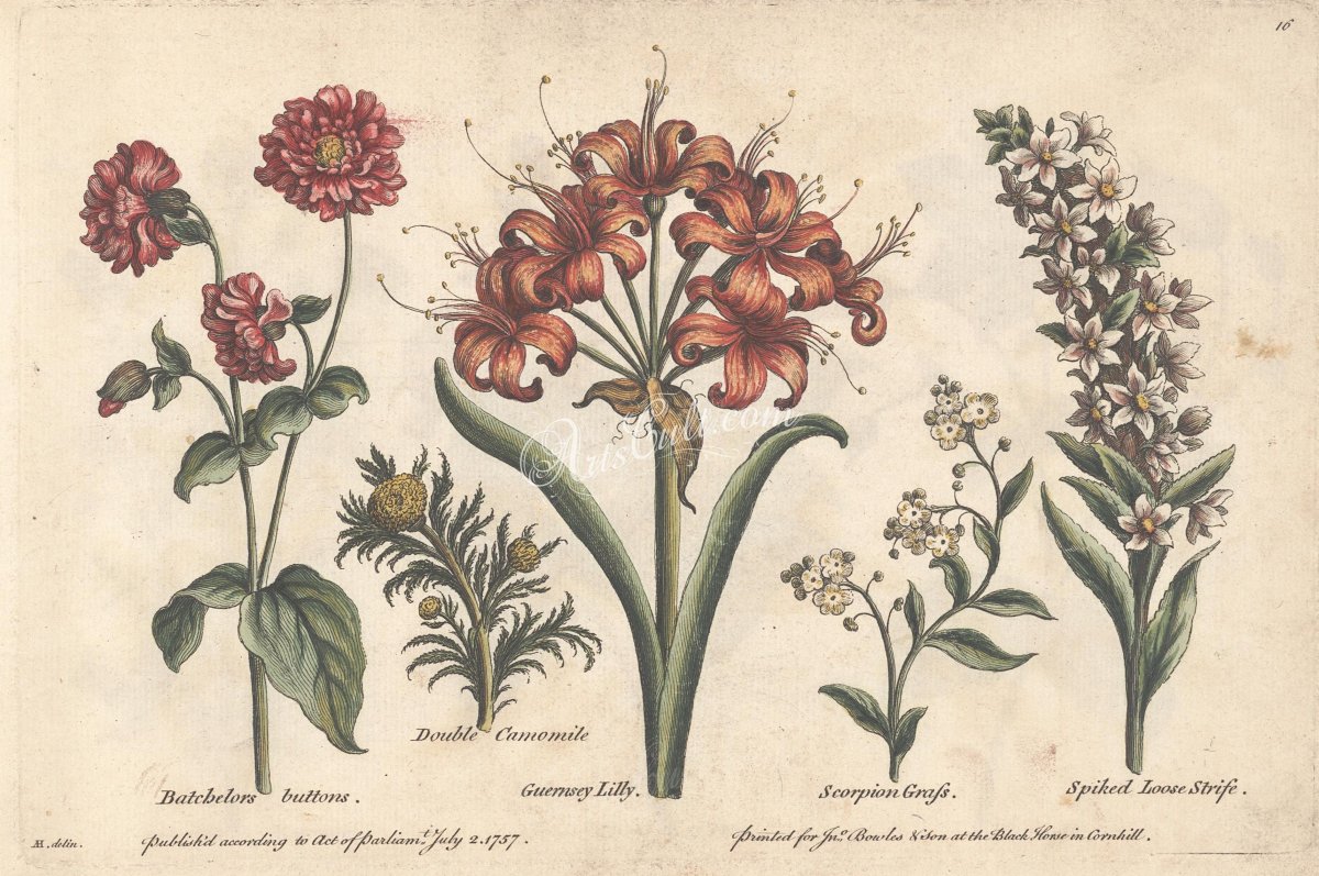 Растения ретро