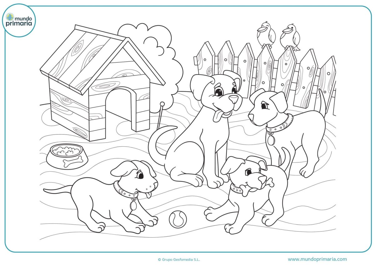 Раскраска домашние животные собака