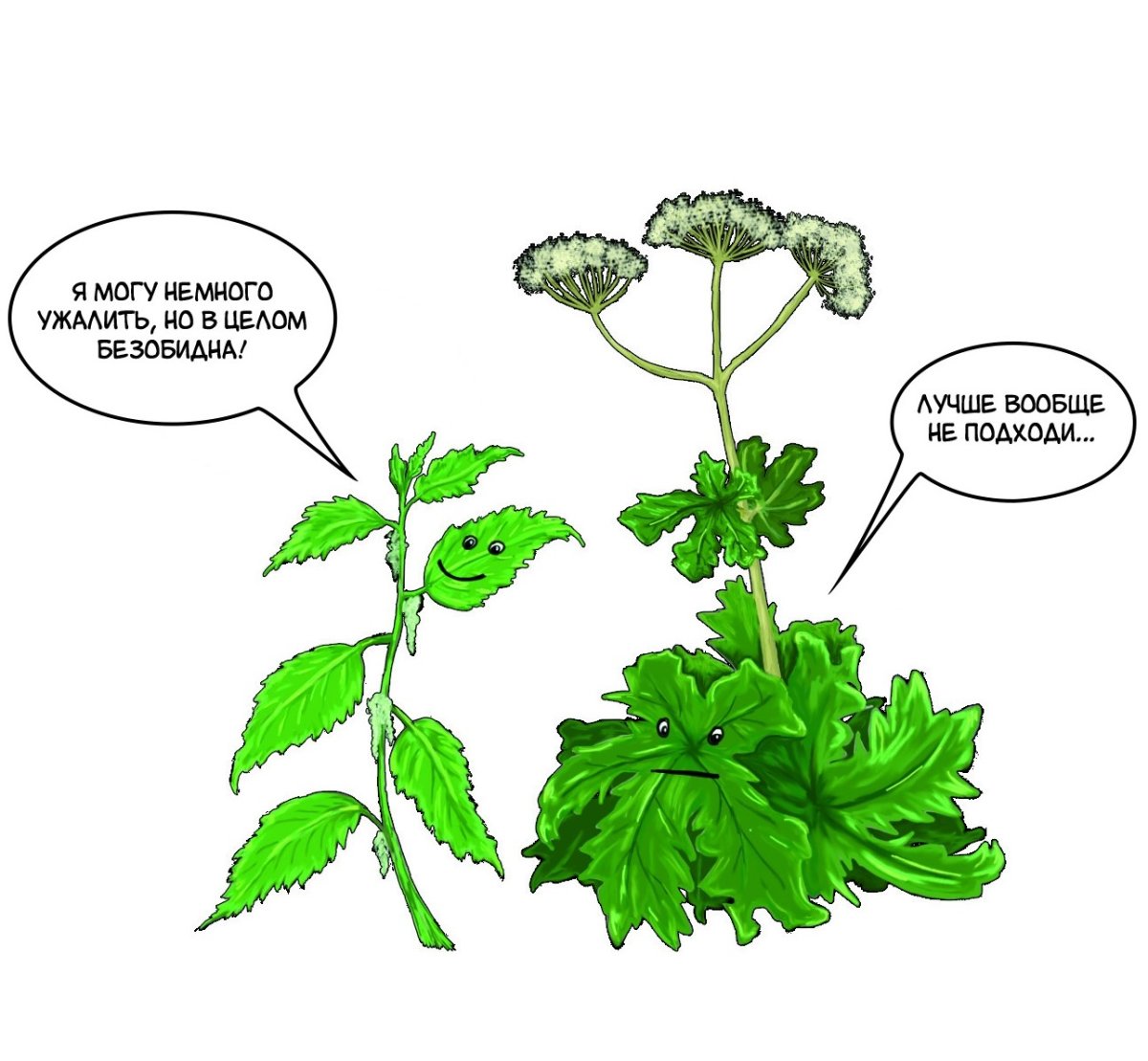 Петрушка раскраска для детей