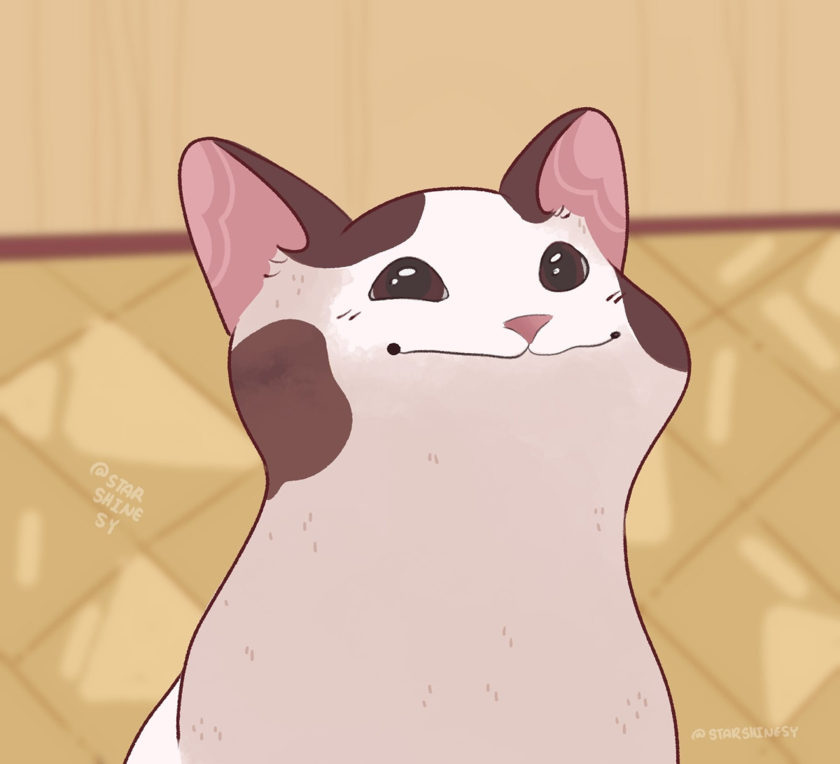 Милые котики из мемов