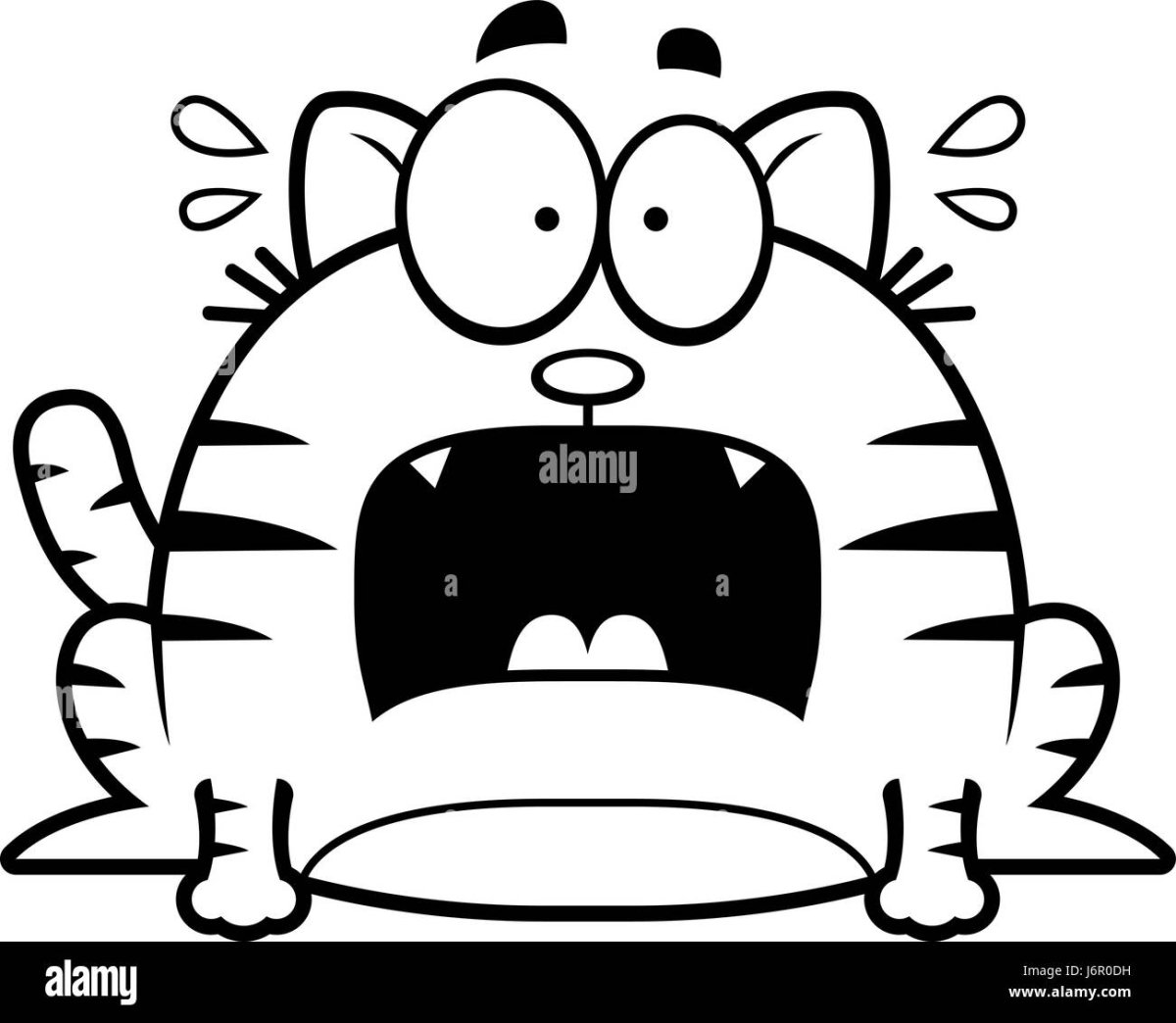 Кошка с открытым ртом рисунок