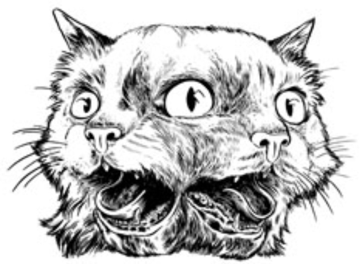 Много котов арт