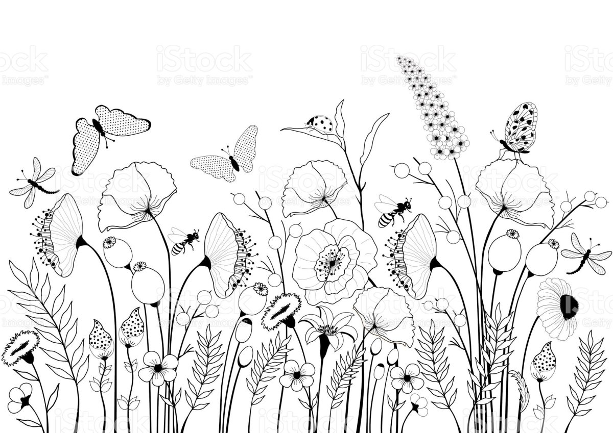 Ромашка Графика