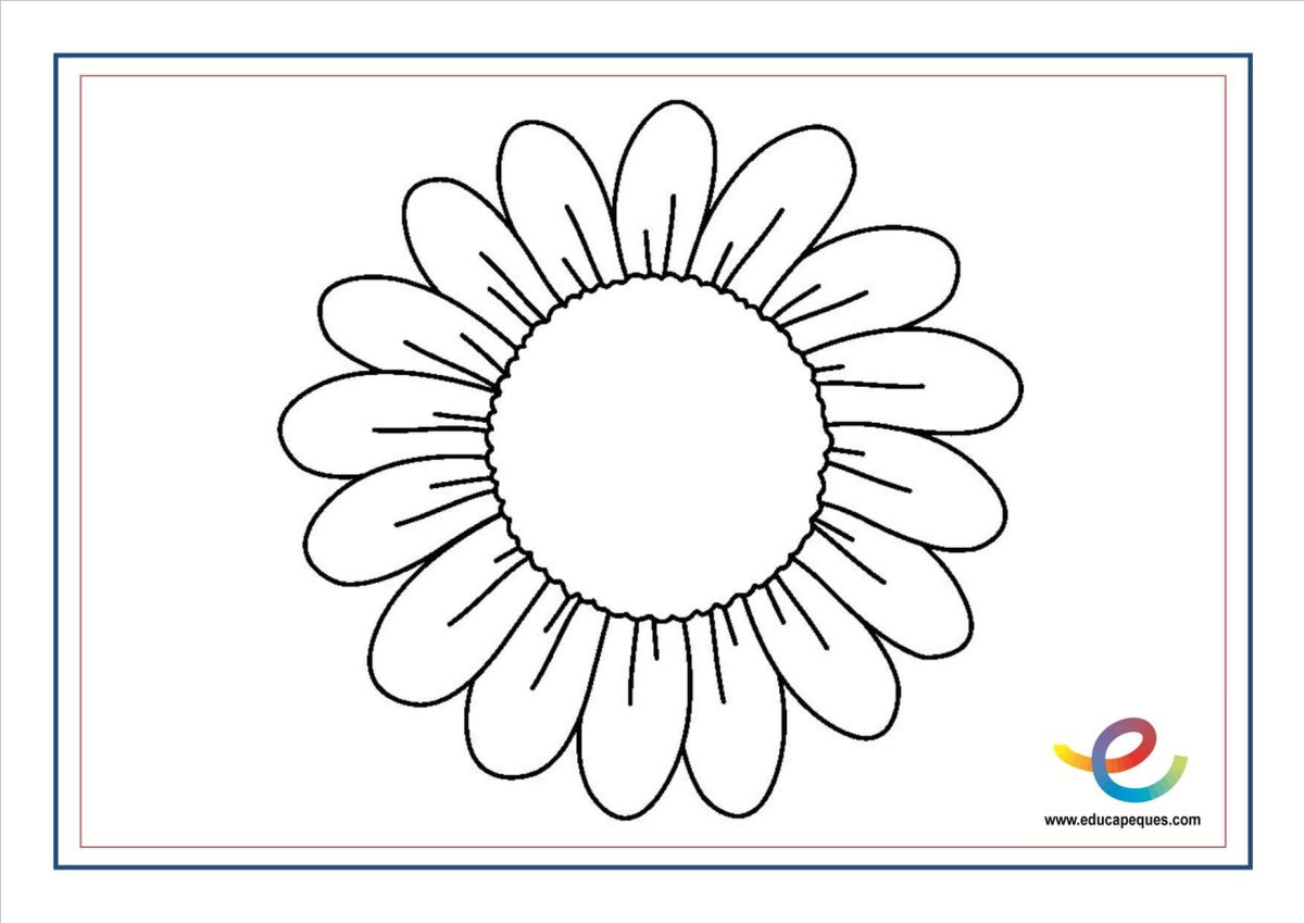 Ромашка раскраска для детей