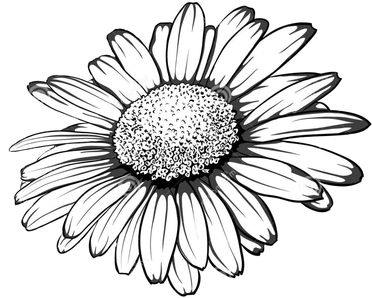 Раскраска пейзаж цветы