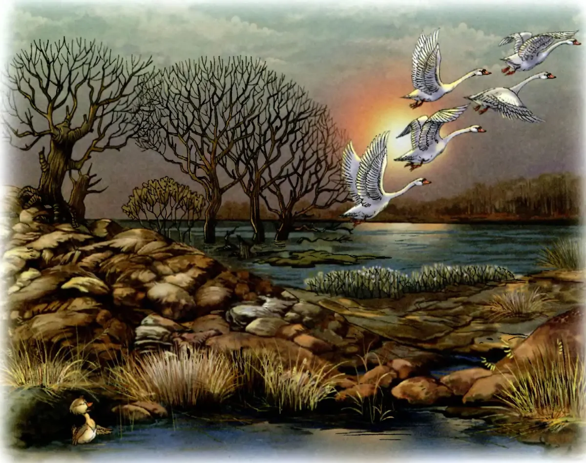 Ведьма из сказки огниво