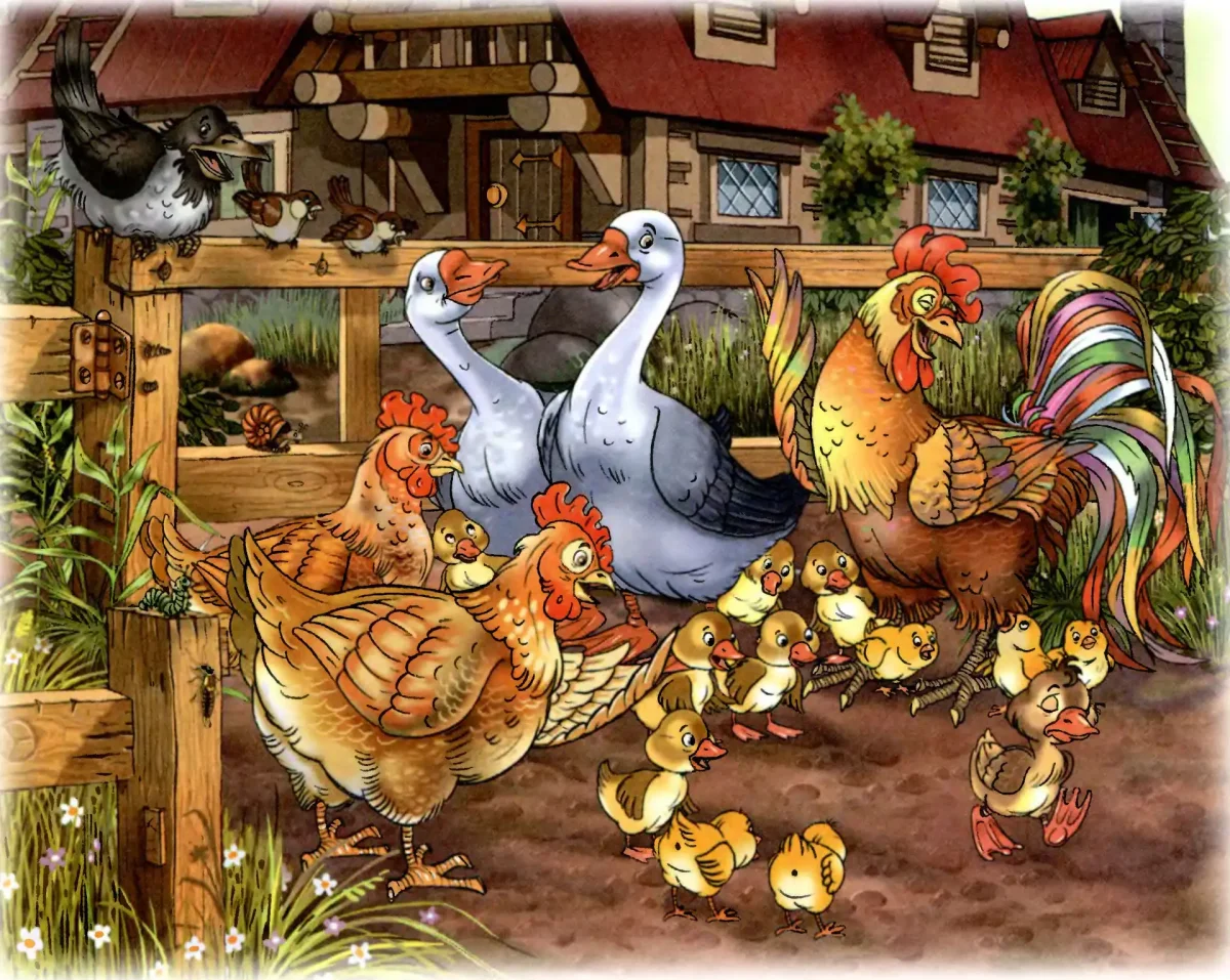 Гауф Вильгельм "маленький МУК"