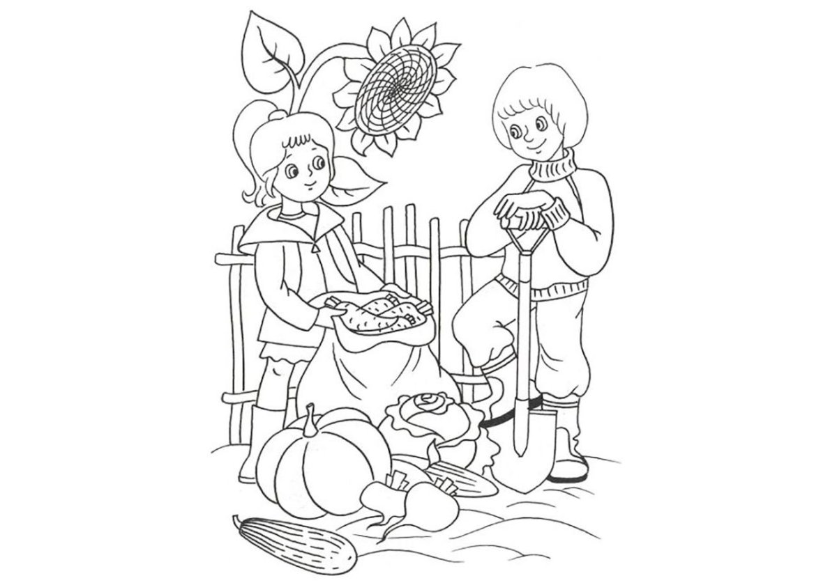 Огород раскраска для детей