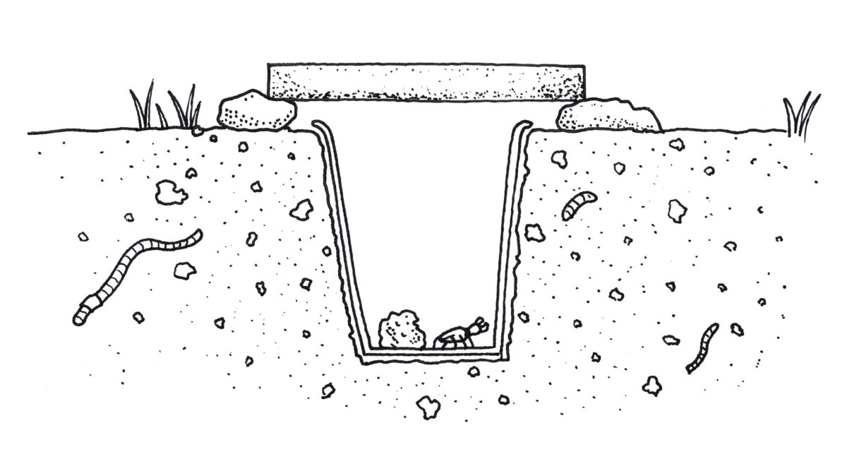 Трава карандашом