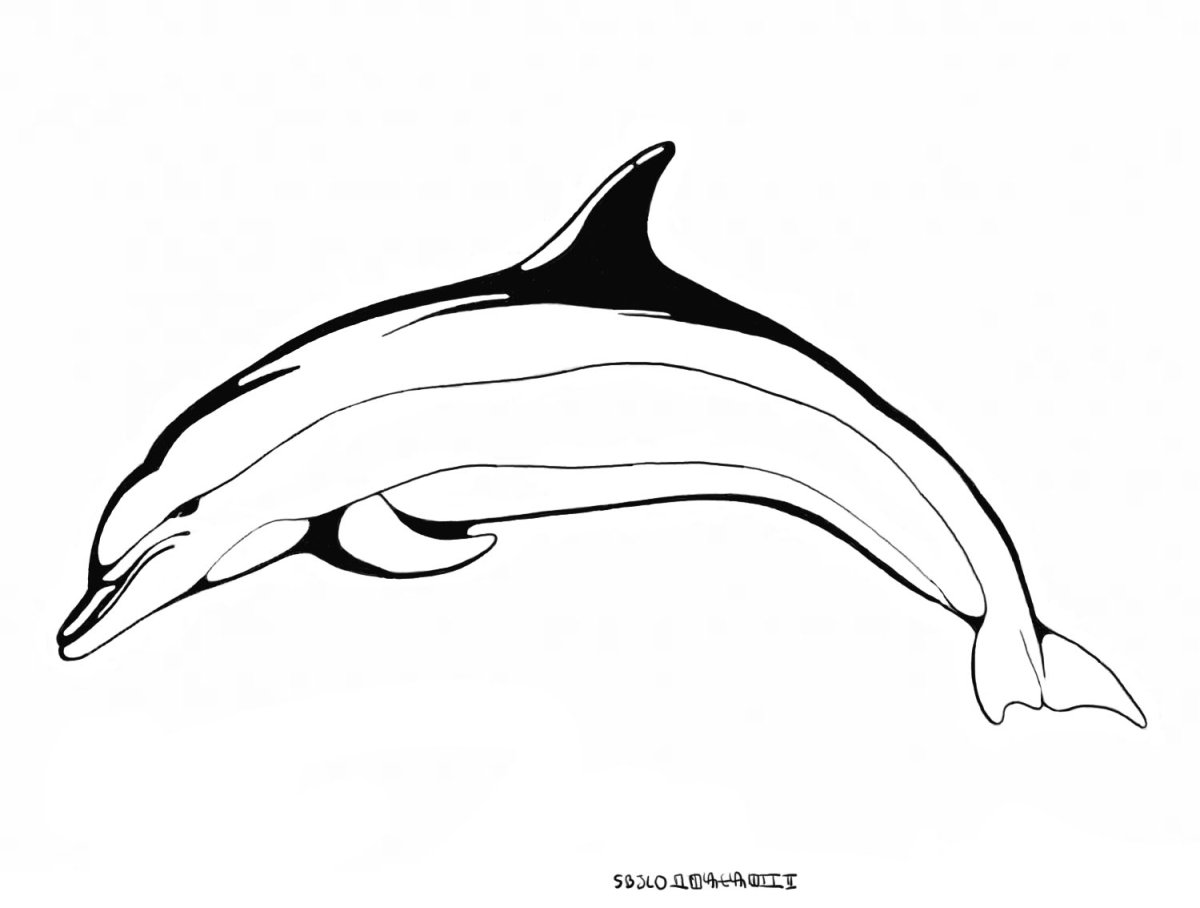 Черноморская Афалина раскраска