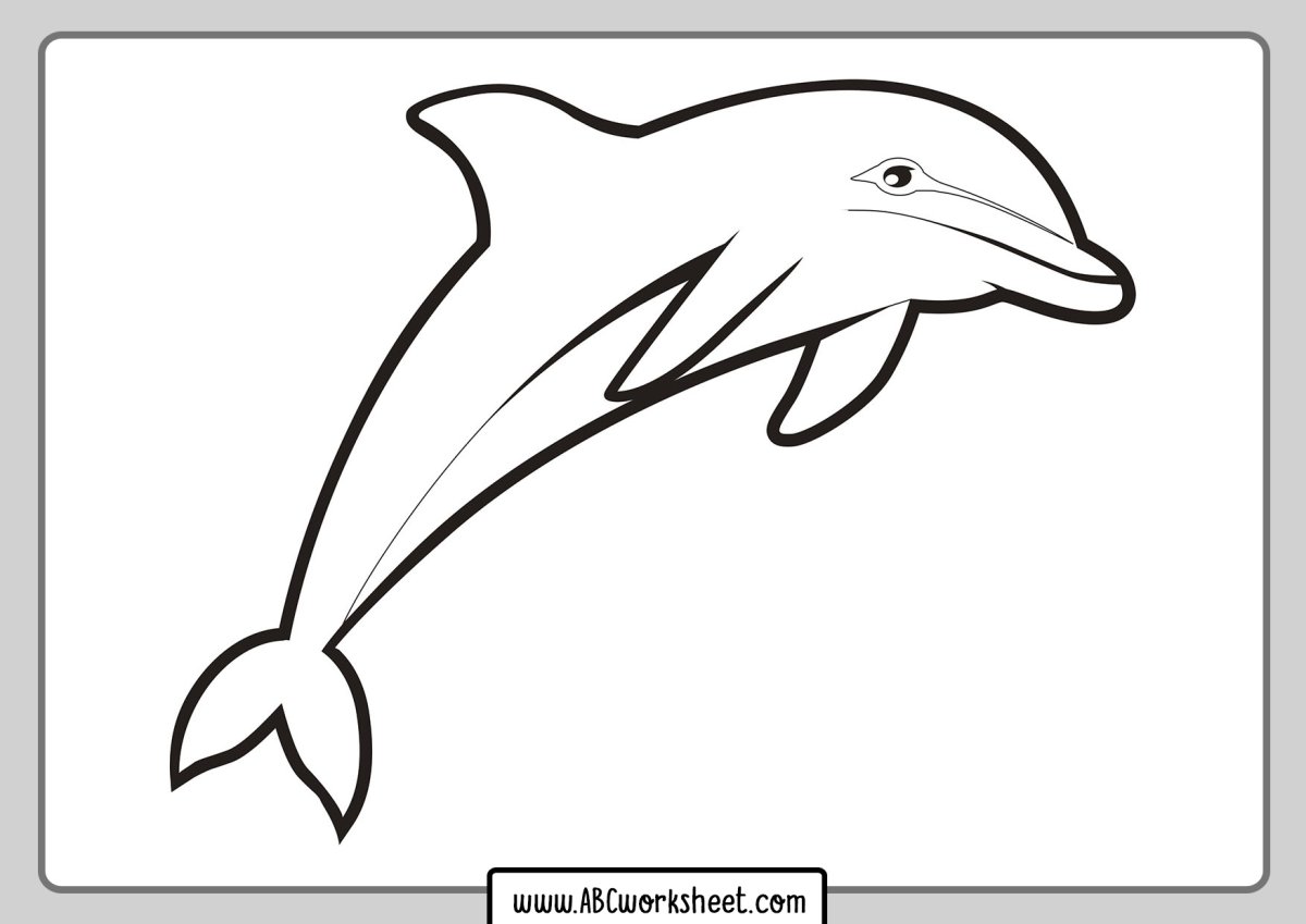 Раскраска Дельфин
