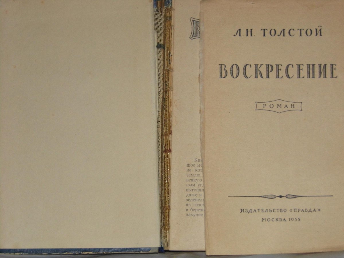 Читательский дневник стихотворение