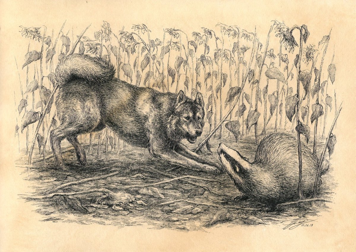 Сойфертис портреты