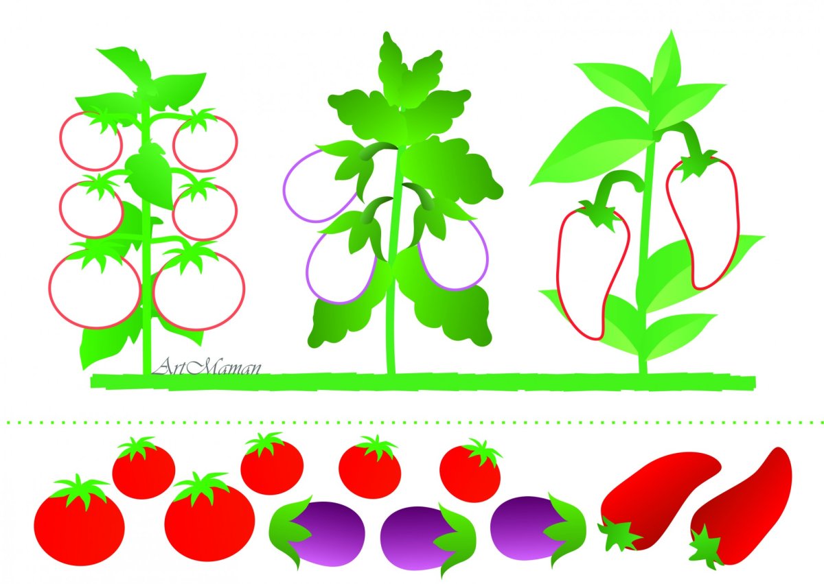 Овощи для вырезания для детей