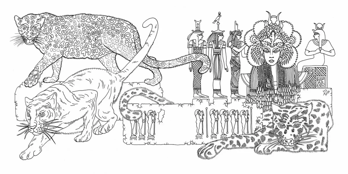 Жизнь замечательных существ раскраска