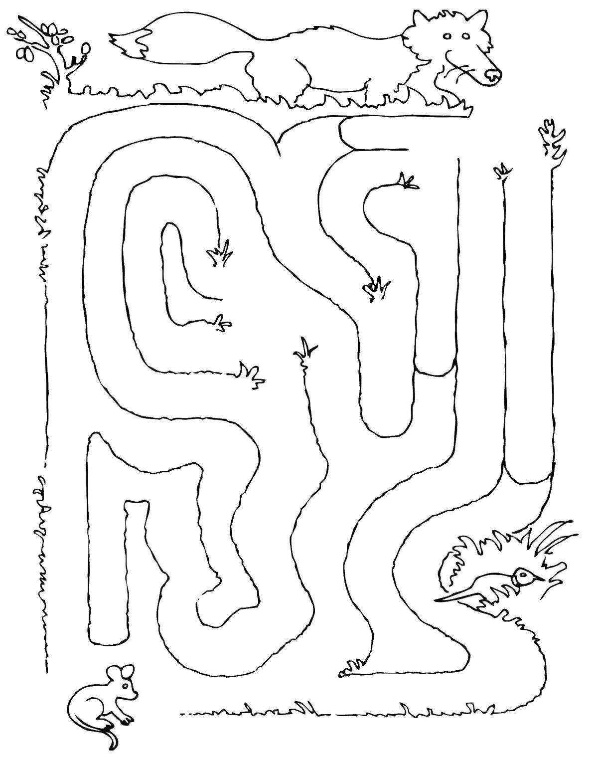 Дорожки для пальчиковой гимнастики