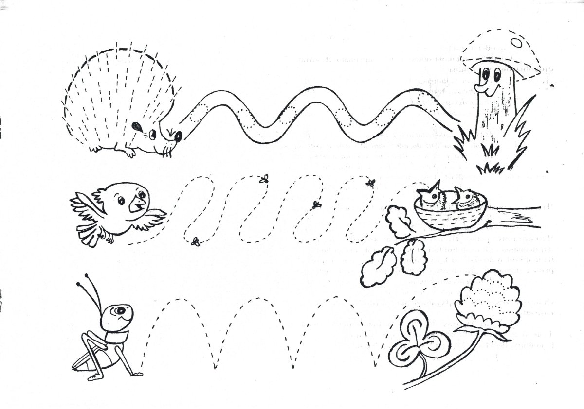 Раскраски для мелкой моторики