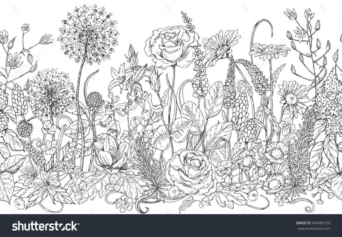 Лопух раскраска для детей