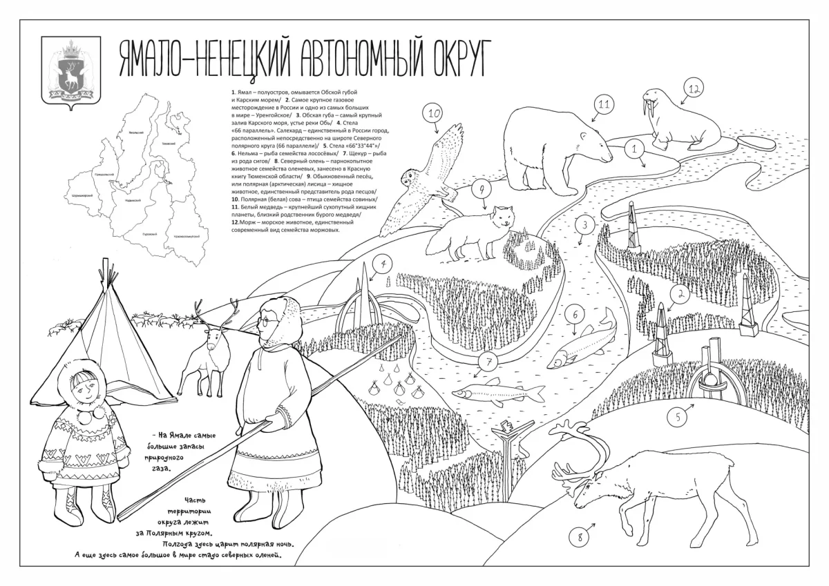 Тюменская область раскрас