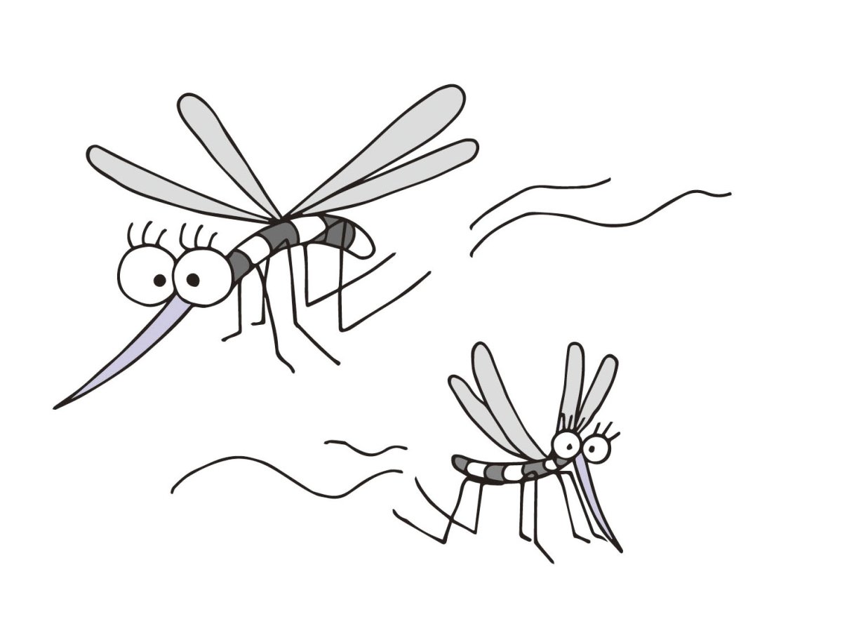 Комар разукрашка