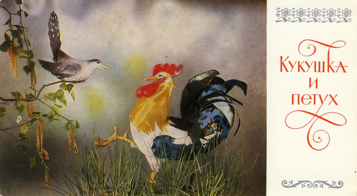 Басня петух рисунок