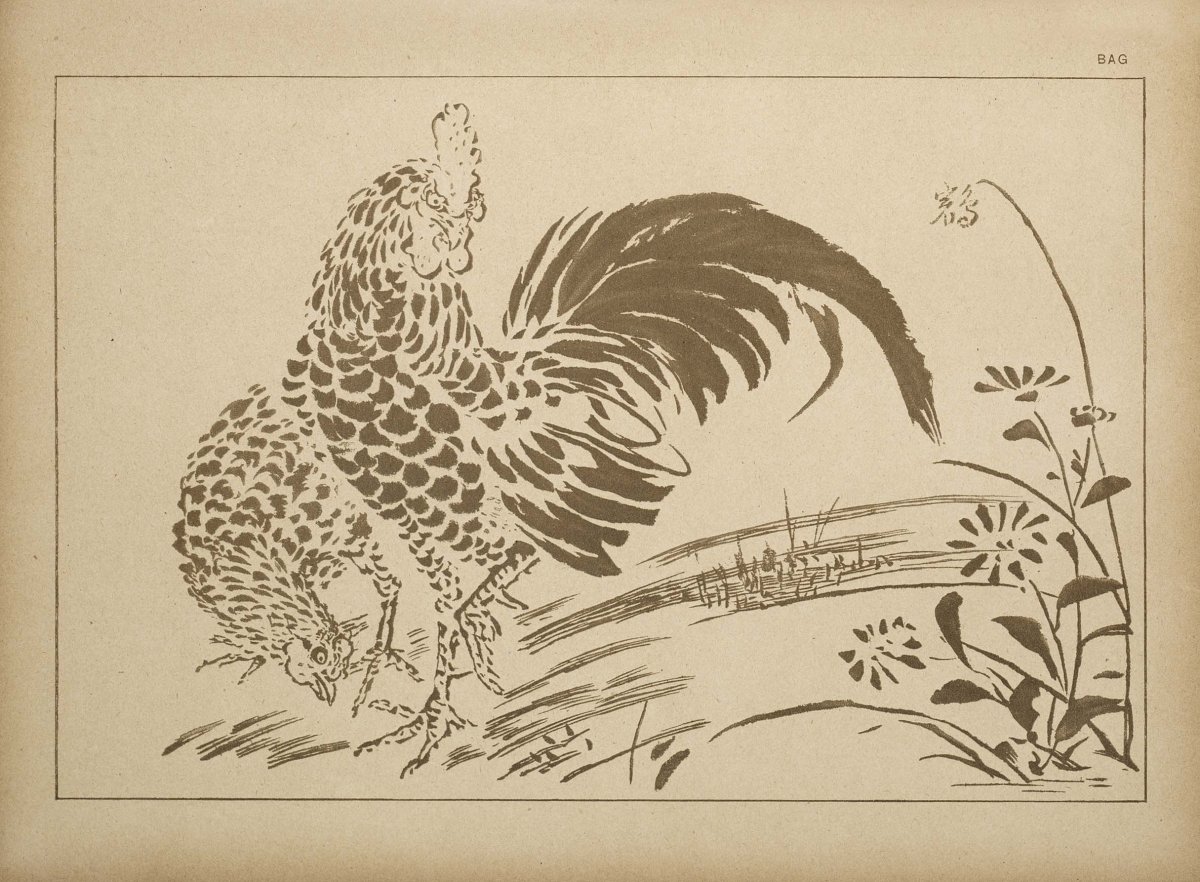 Альбом для рисования цветочный петух