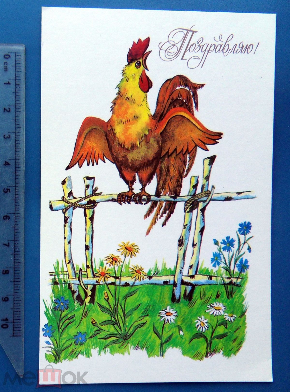 Иллюстрация к басне Кукушка Сумарокова