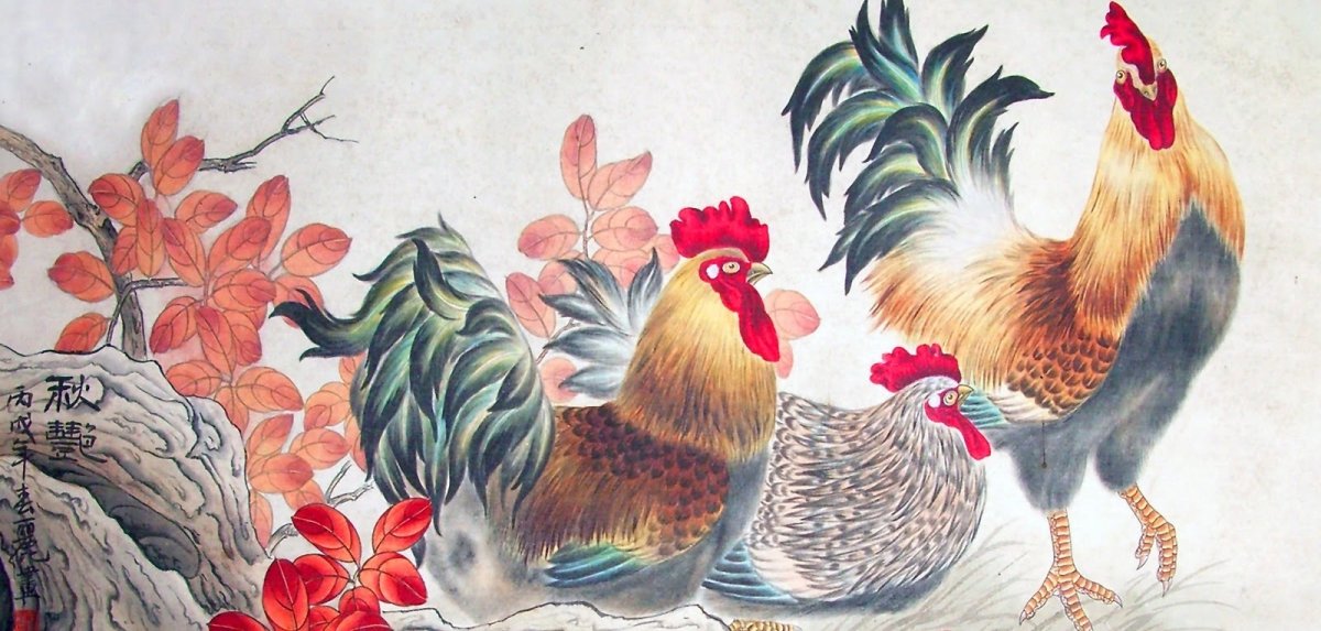 Петух и Кукушка карикатура