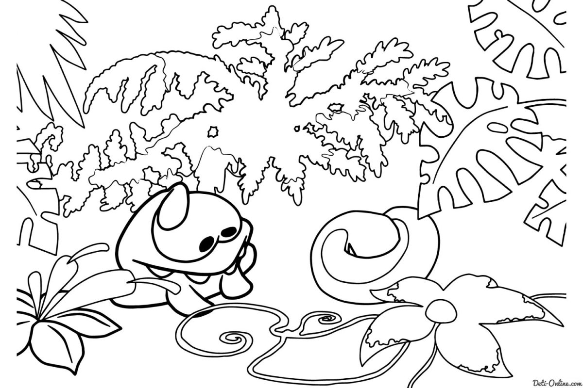 Раскраска. Ам-Ням