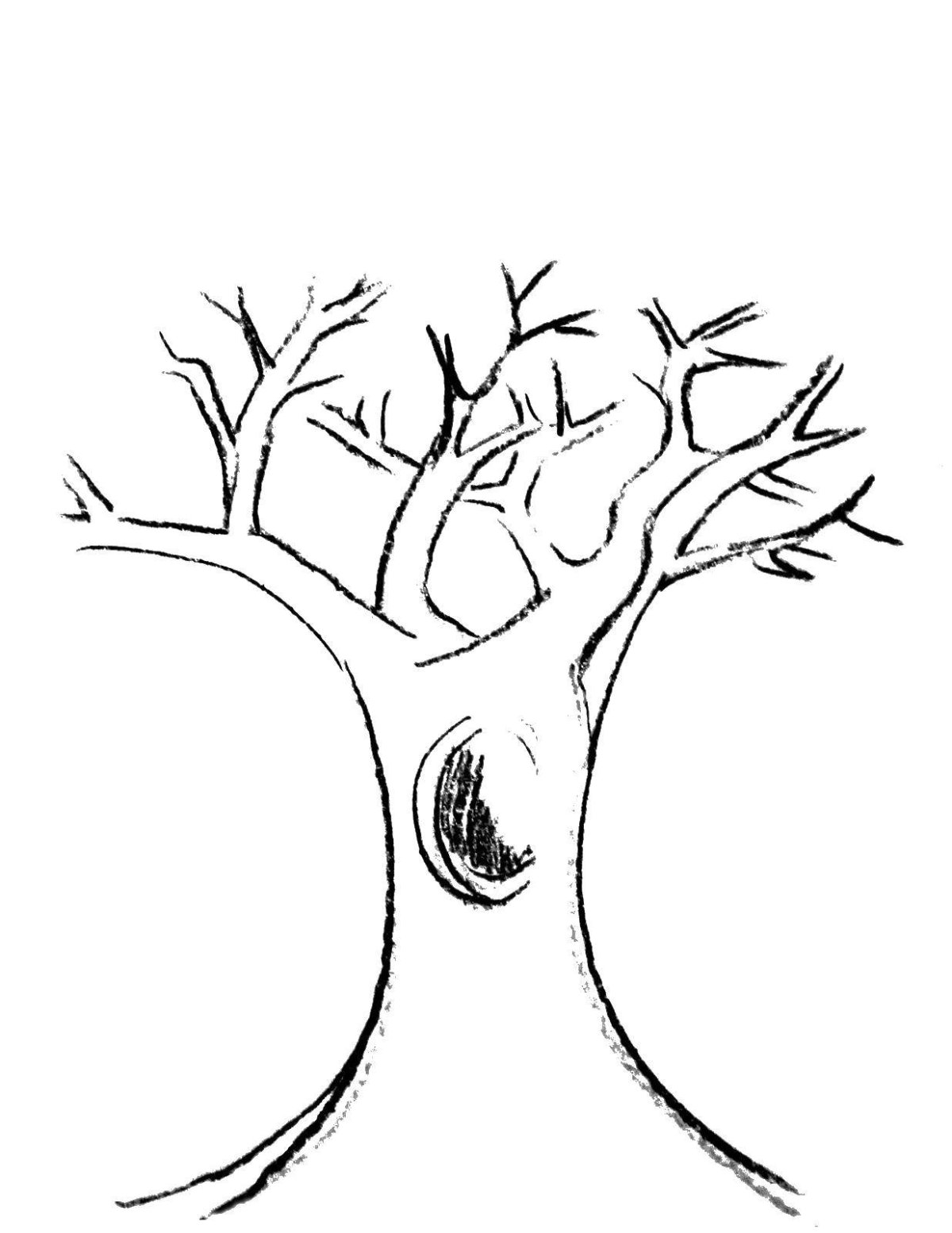 Раскраска Белочка на дереве