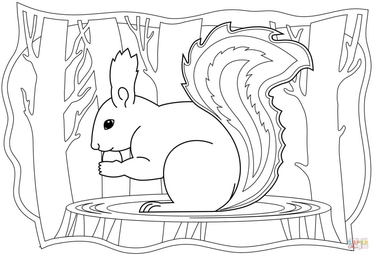 Раскраска белка на ветке для детей