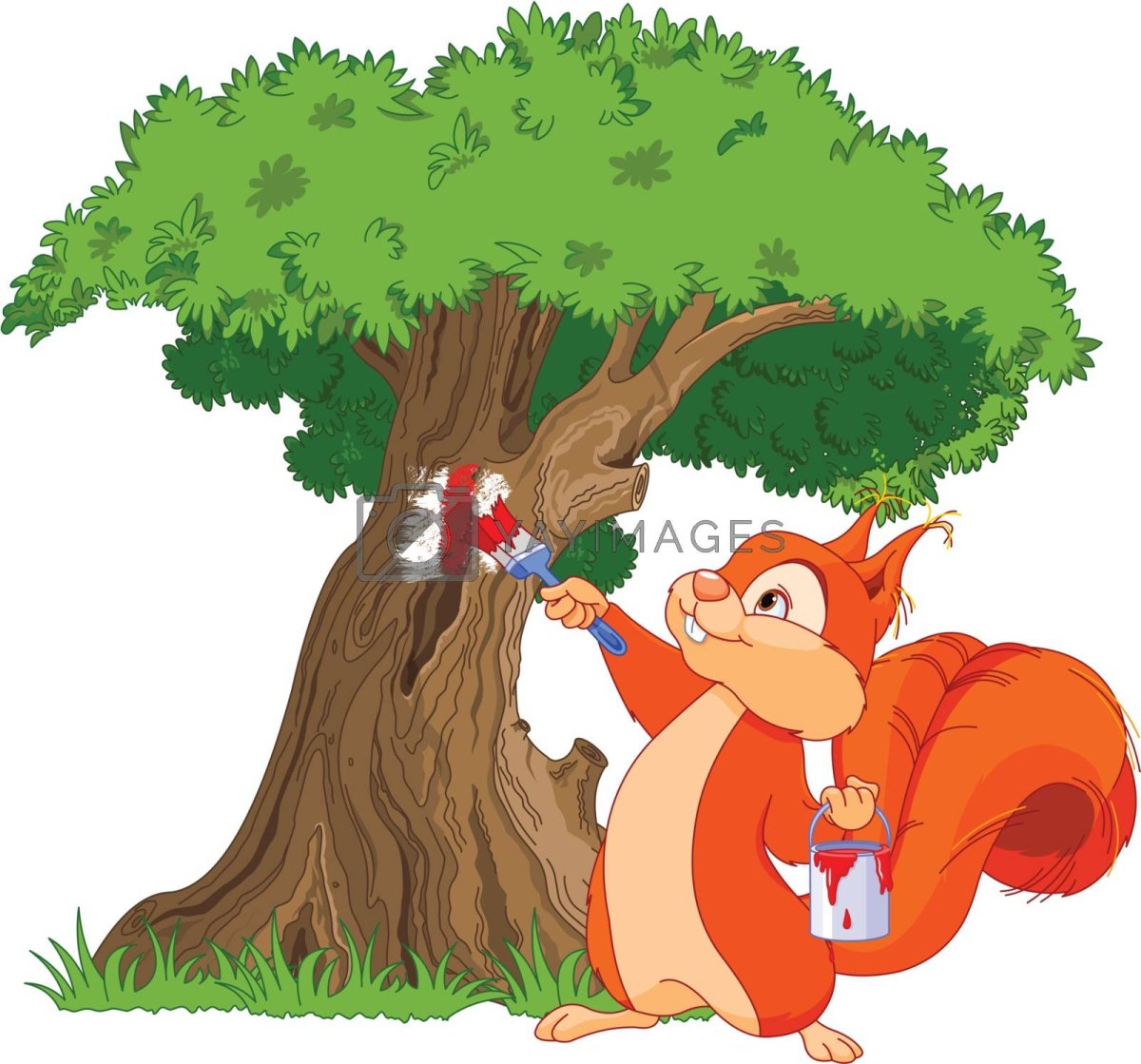 Дупло белки на ели