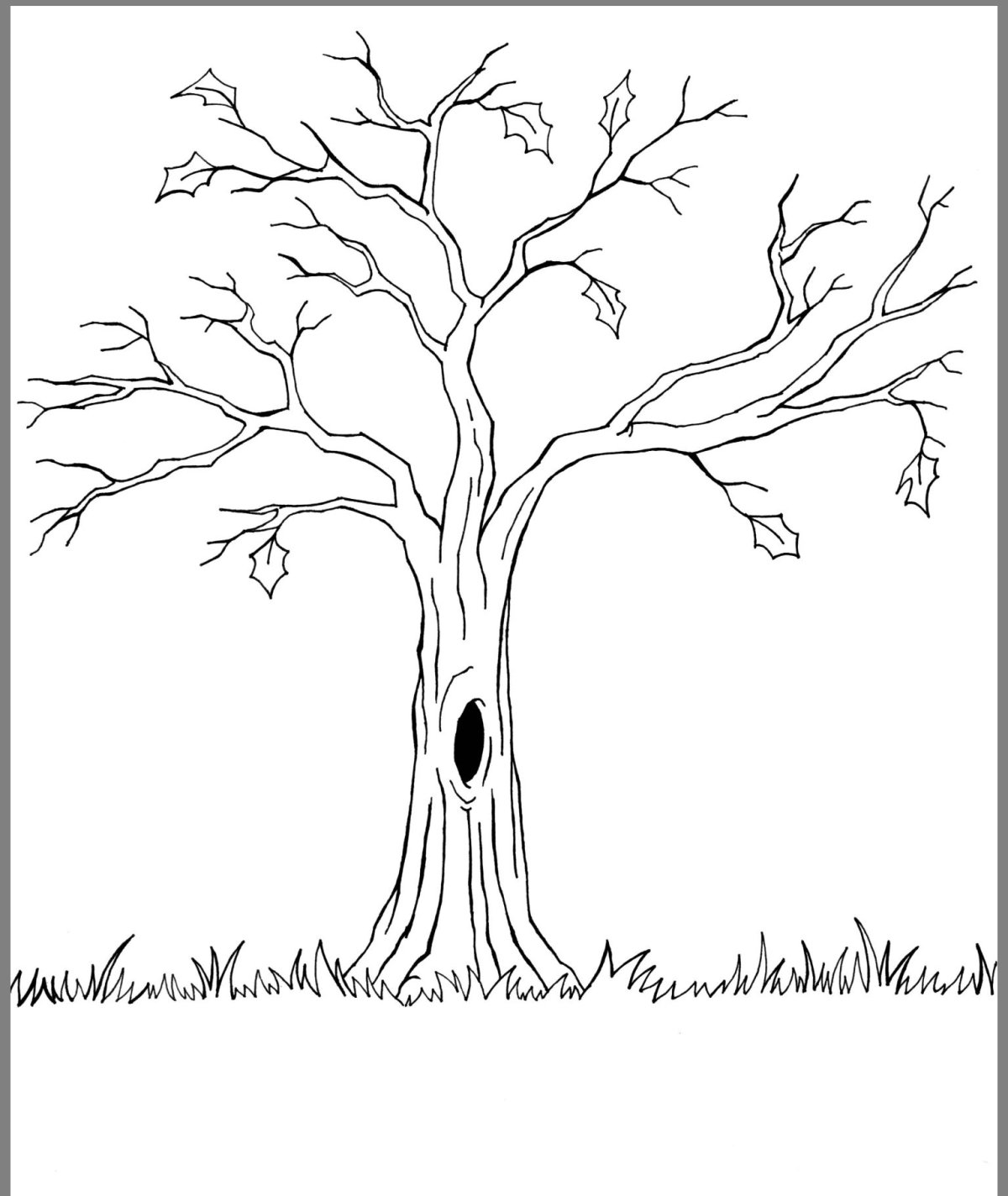 Животные зимой задания для дошкольников