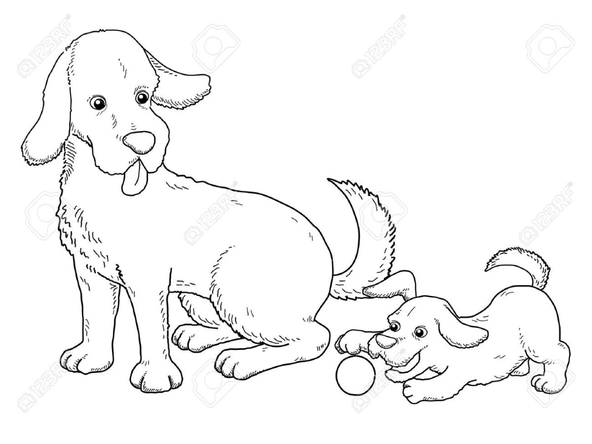 Барбос и Жулька раскраска для детей