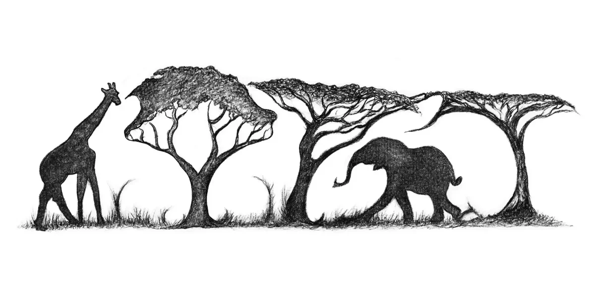 Джозеф Ястров утка кролик