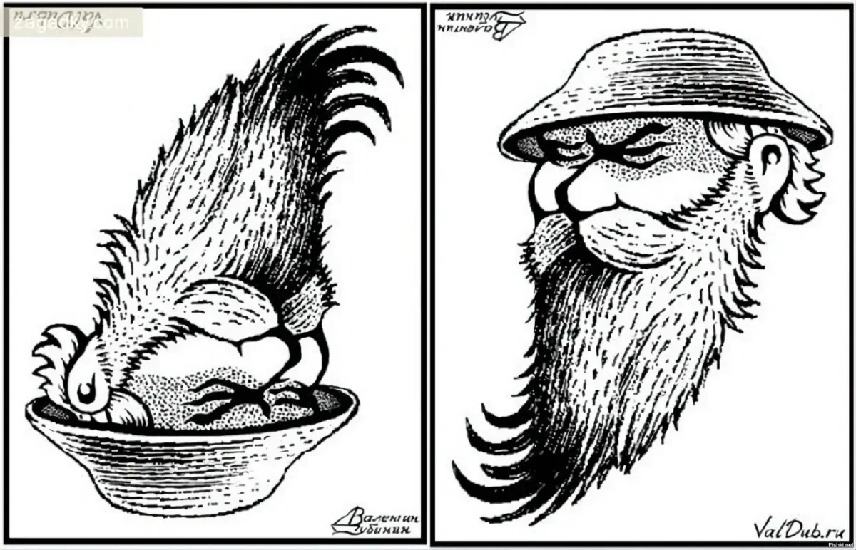 Иллюзии обман зрения перевёртыши