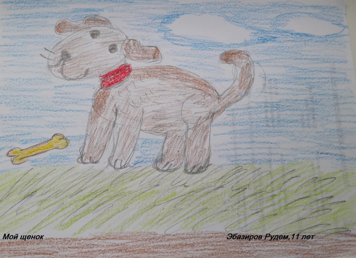 Жулька рисунок